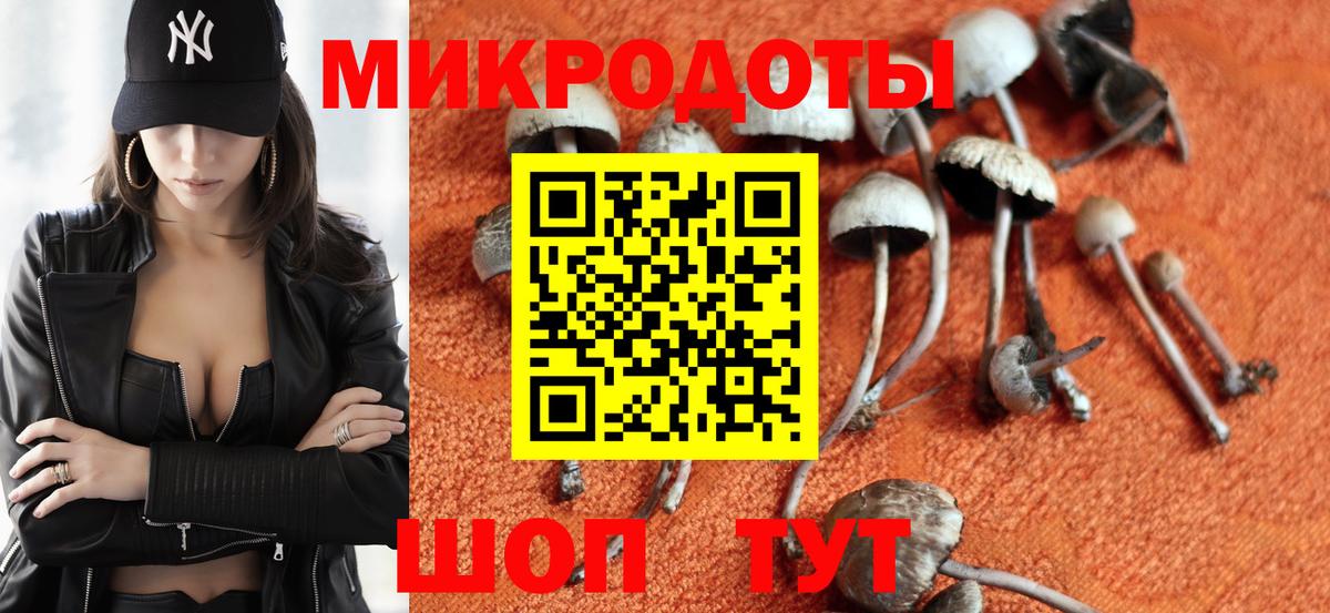 Выкса  Галлюциногенные грибы Magic Shrooms  Вход с VPN  сколько стоит  Галлюциногенные грибы прущие грибы 